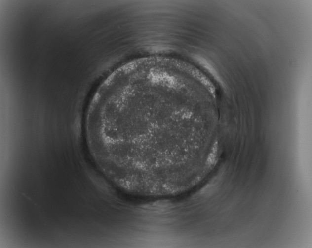 X0000088670447200706281925