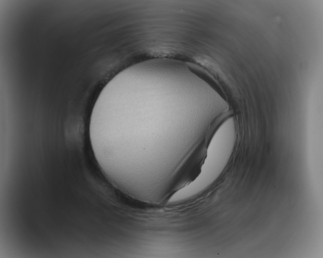 X0000088670448200706281925