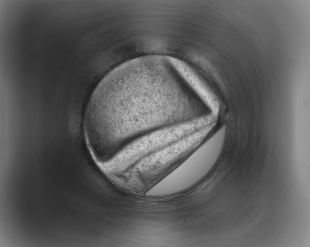 X0000088670449200706281925