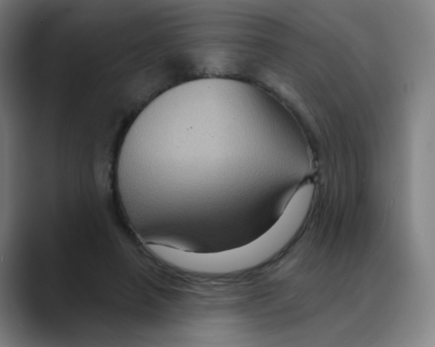 X0000088670450200706281925