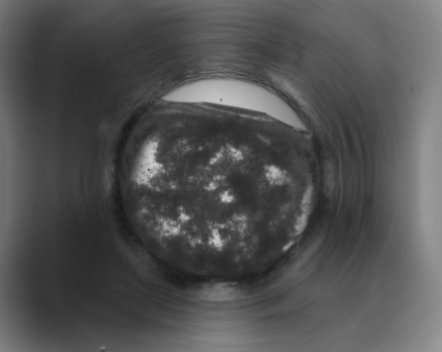 X0000088670451200706281925