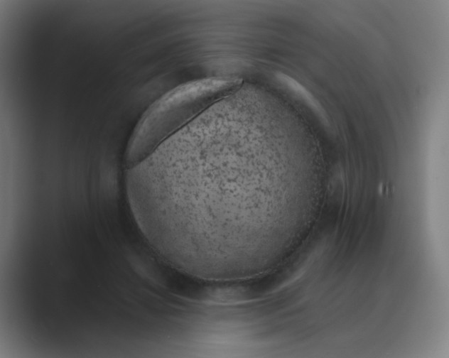 X0000088670452200706281925