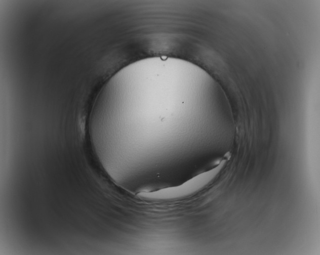 X0000088670454200706281925