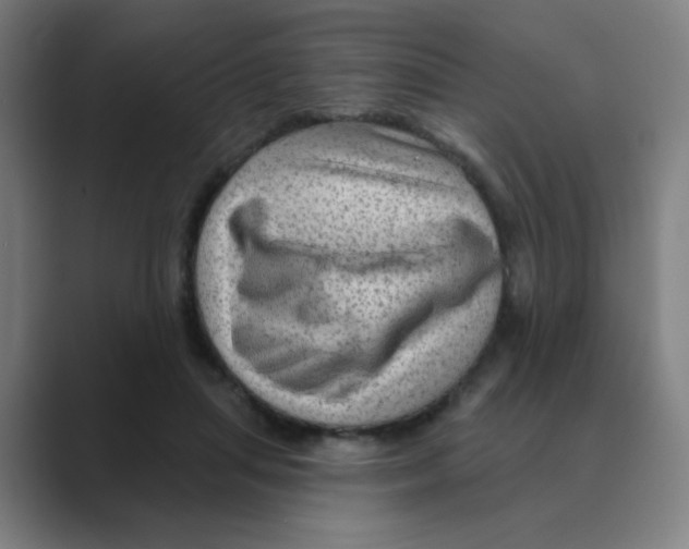 X0000088670455200706281925