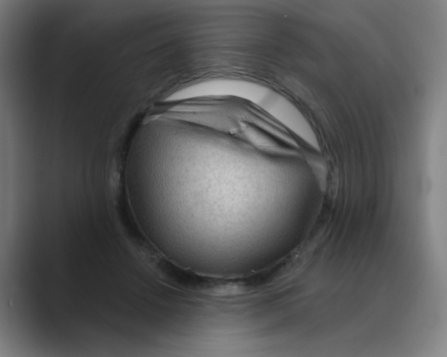 X0000088670456200706281925