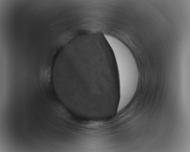 X0000088670458200706281925