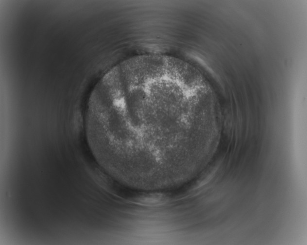 X0000088670459200706281925