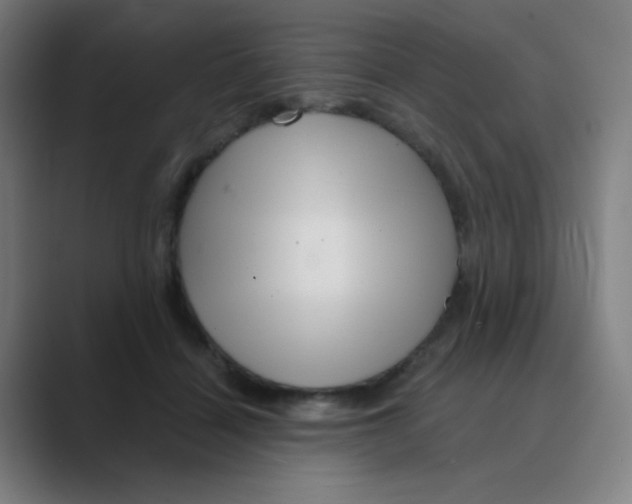 X0000088670460200706281925