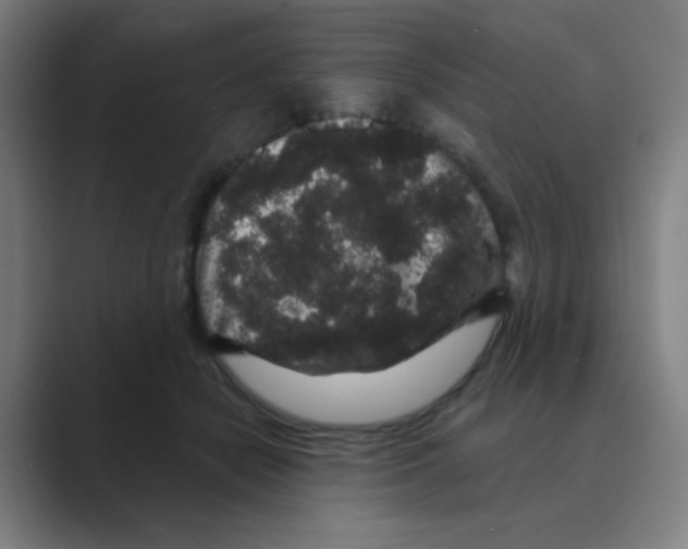 X0000088670462200706281925