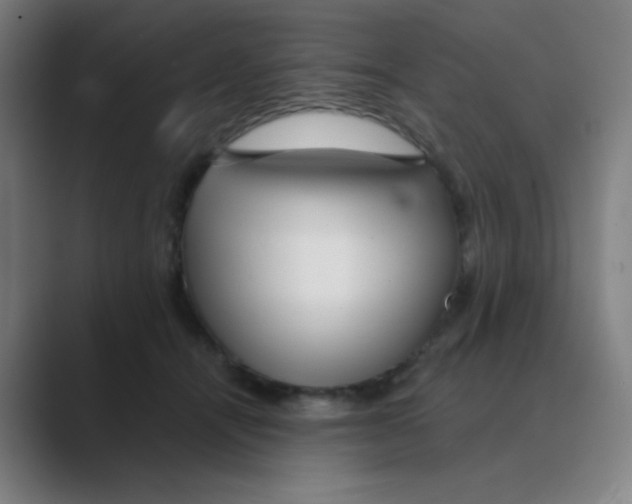 X0000088670464200706281925