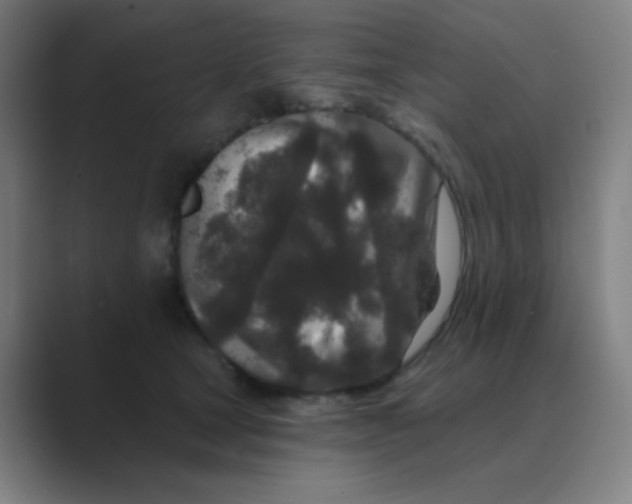 X0000088670465200706281925