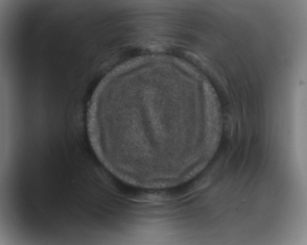 X0000088670466200706281925