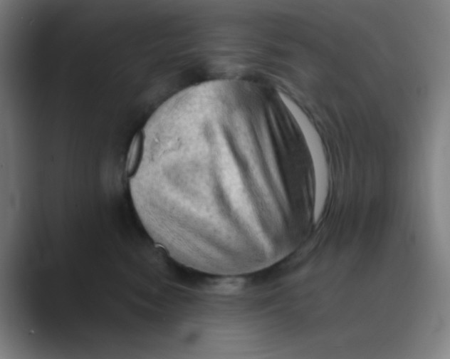 X0000088670474200706281925