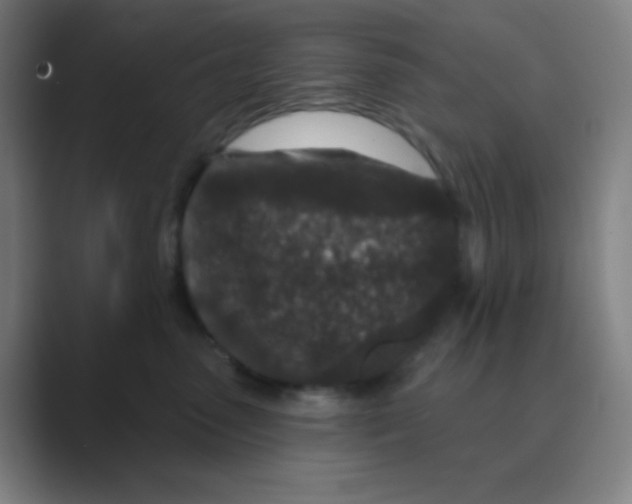 X0000088670475200706281925