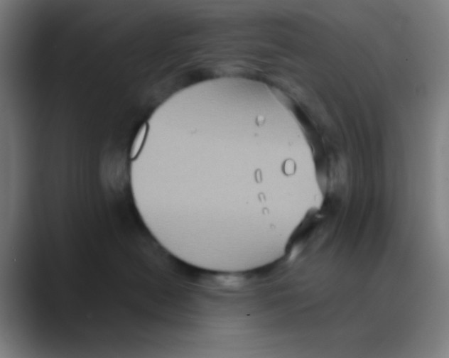X0000088670478200706281925