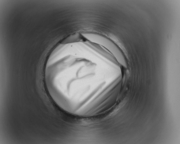 X0000088670481200706281924