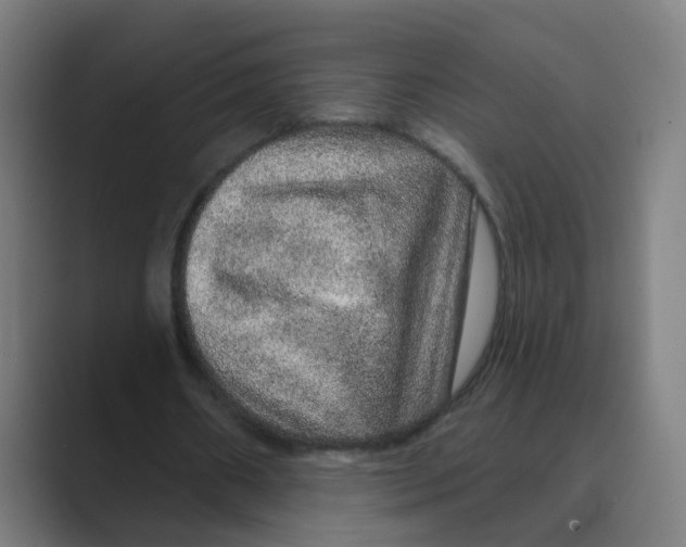 X0000088670482200706281924