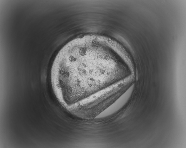 X0000088670483200706281924