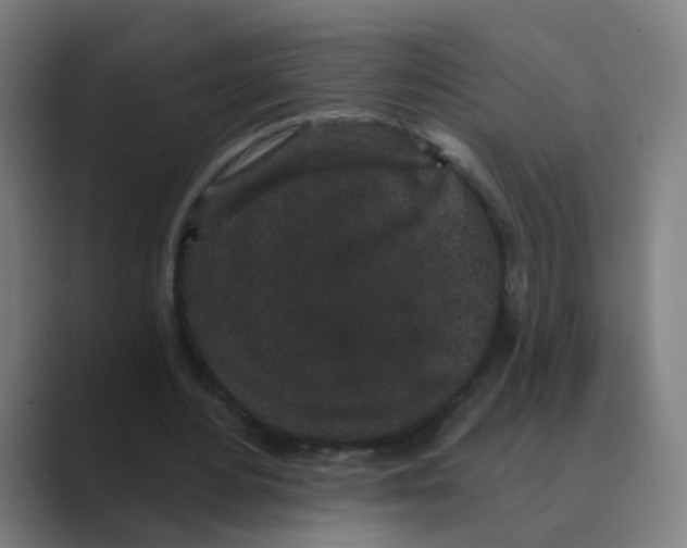 X0000088670484200706281924