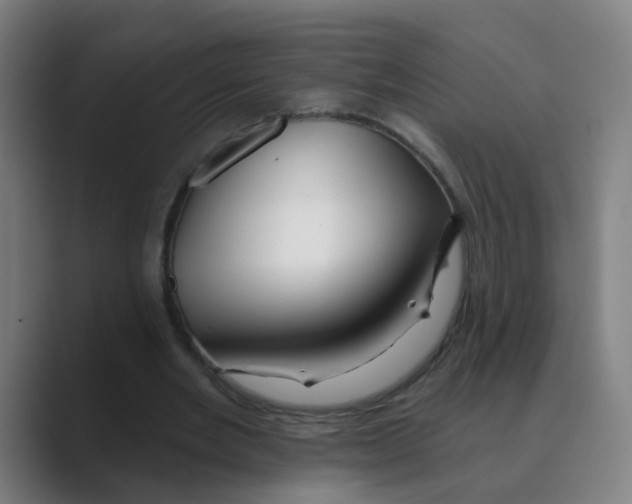 X0000088670485200706281924