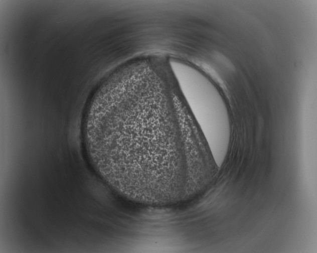 X0000088670487200706281924