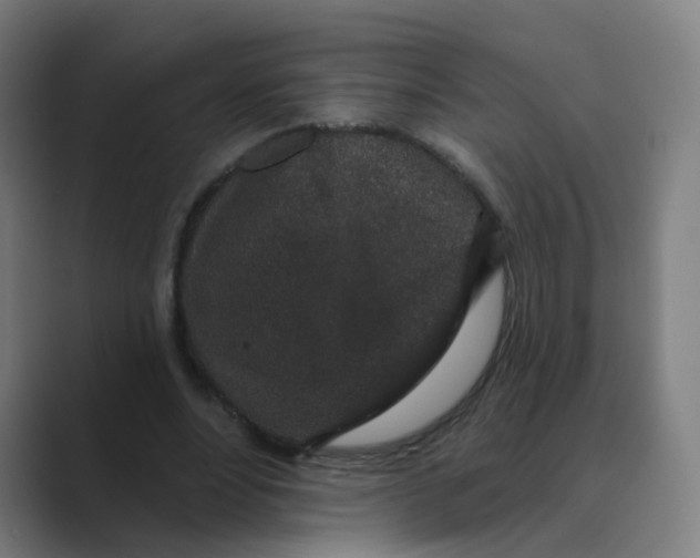 X0000088670488200706281924