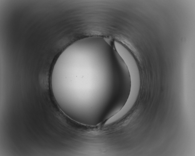X0000088670489200706281924