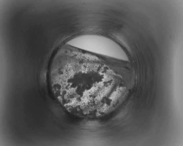 X0000088670491200706281924