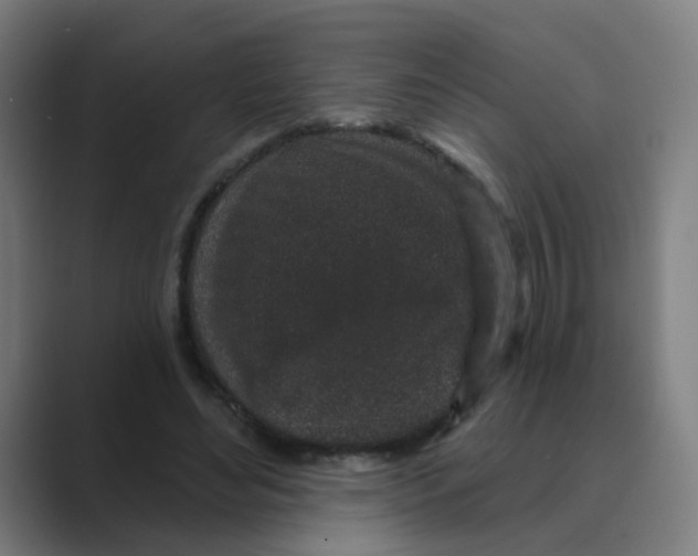 X0000088670492200706281924