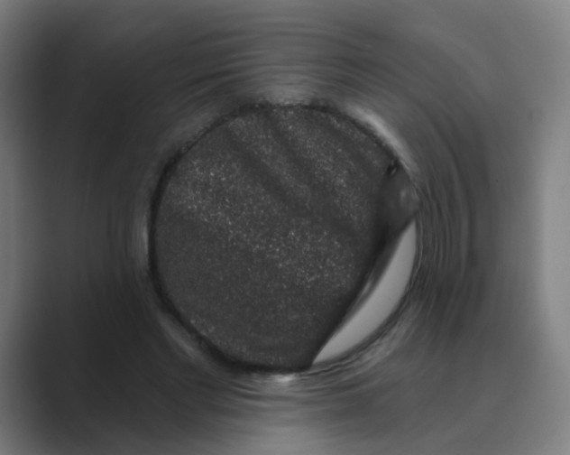 X0000088670493200706281924