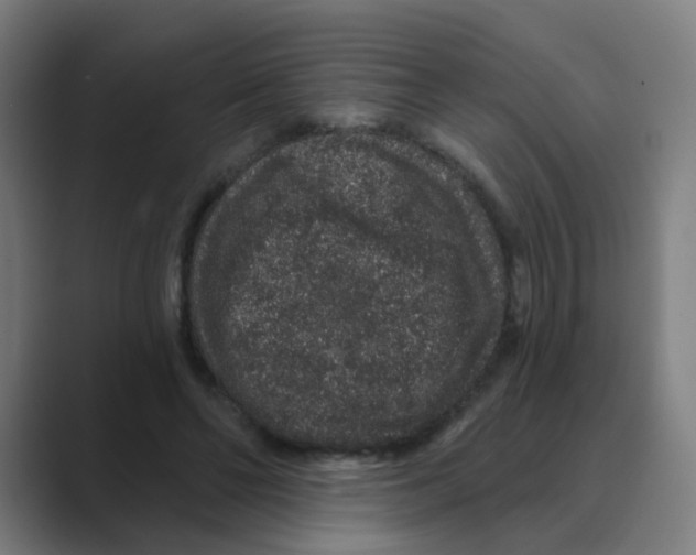 X0000088670494200706281924