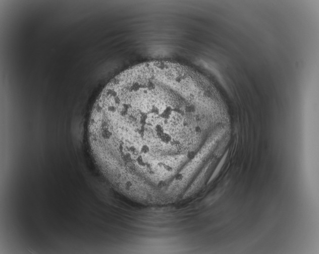 X0000088670495200706281924