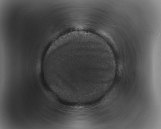 X0000088670496200706281924