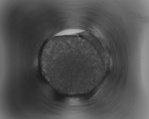 X0000088670500200706281924