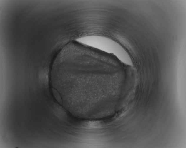 X0000088670501200706281924