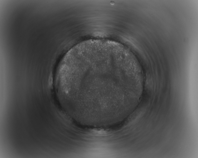X0000088670502200706281924