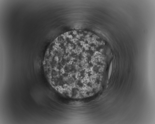X0000088670503200706281924