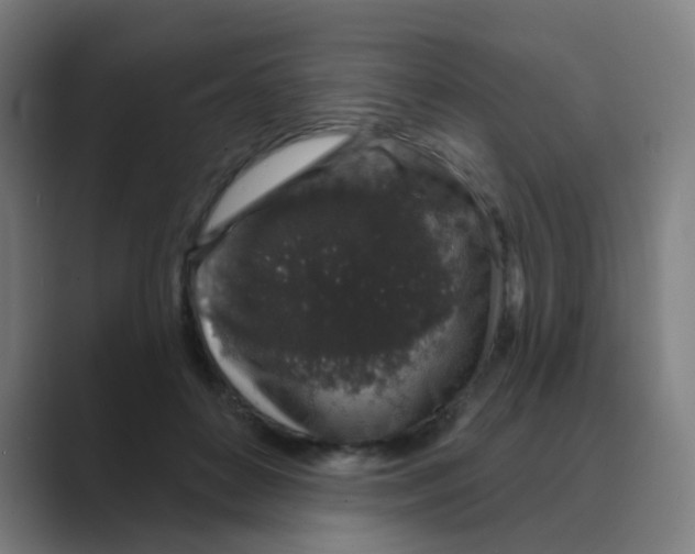 X0000088670504200706281924