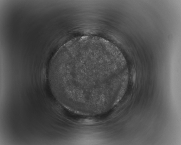X0000088670506200706281924