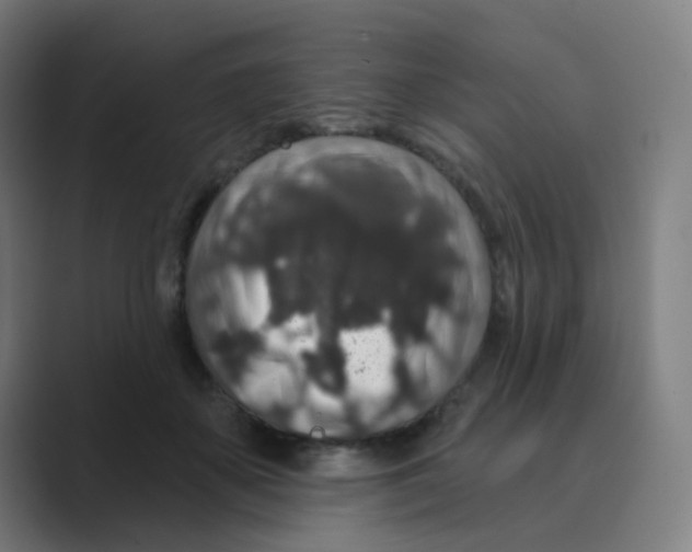 X0000088670507200706281924