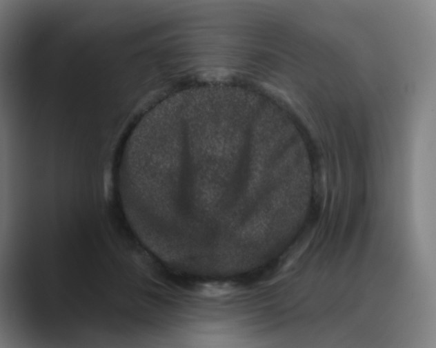 X0000088670508200706281924