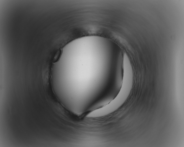 X0000088670509200706281924
