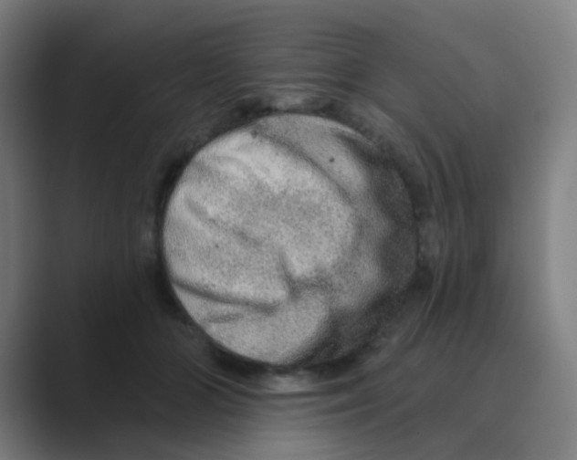 X0000088670510200706281924