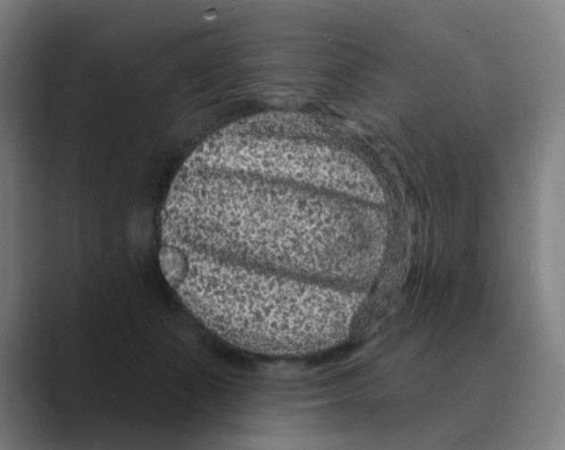 X0000088670511200706281924