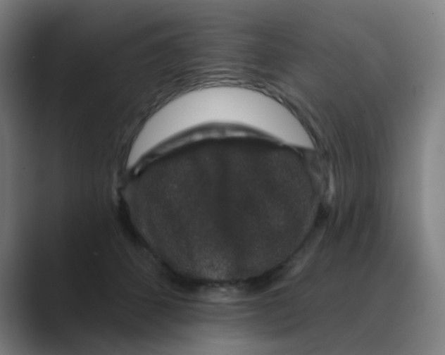 X0000088670512200706281924