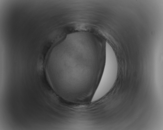 X0000088670513200706281924