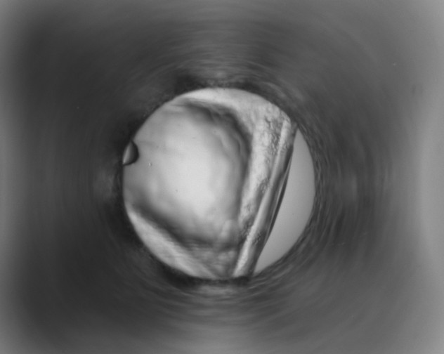 X0000088670515200706281924