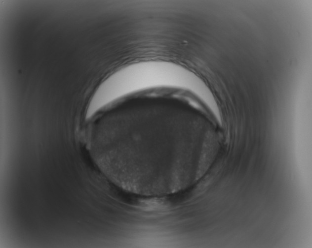 X0000088670516200706281924
