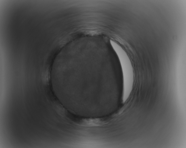 X0000088670517200706281924
