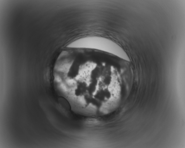 X0000088670519200706281924